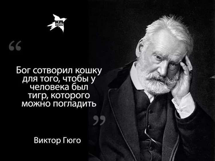 Любовь стоит ровно столько французский писатель. Виктор Гюго афоризмы. 26 Февраля Виктор Гюго. Высказывания Виктора Гюго. Виктор Мари Гюго 220.